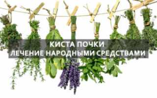 Как избавиться от кист в почках народные средства