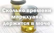 Сколько дней в моче держится гашиш
